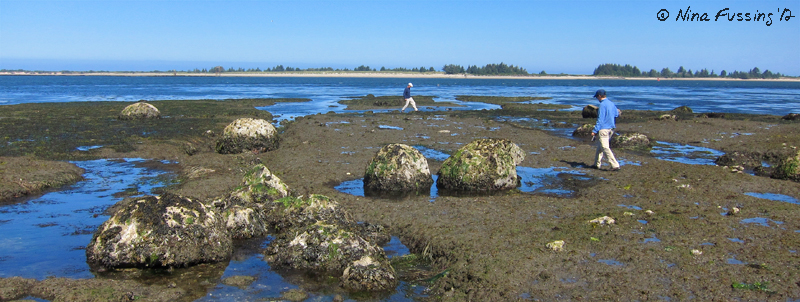C-20120724 Concretions (19) (JPG)