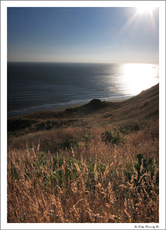 C-20120801 Cape Blanco 2 (10) (JPG)