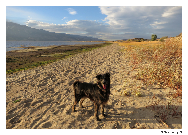 C-20120923 Washoe Lake SP (16) (JPG)