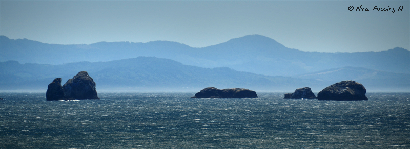 N-20120824 Port Orford (3) (JPG)