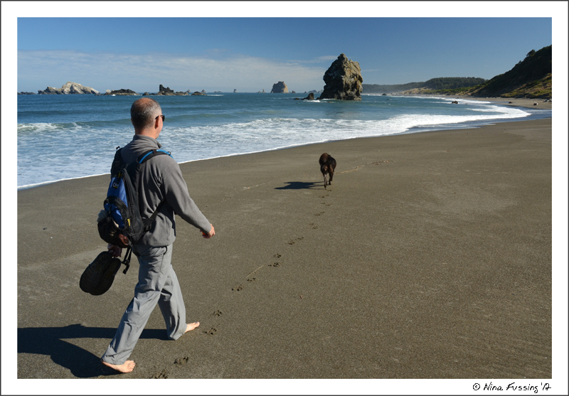Hiking north beach at Cape Blanco..all alone too!