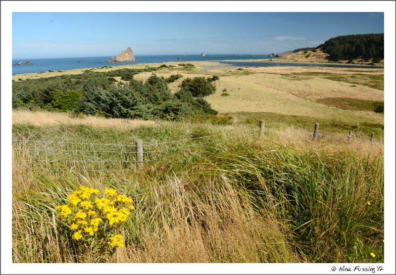 N-20120828 Cape Blanco Hike N Beach (49) (JPG)