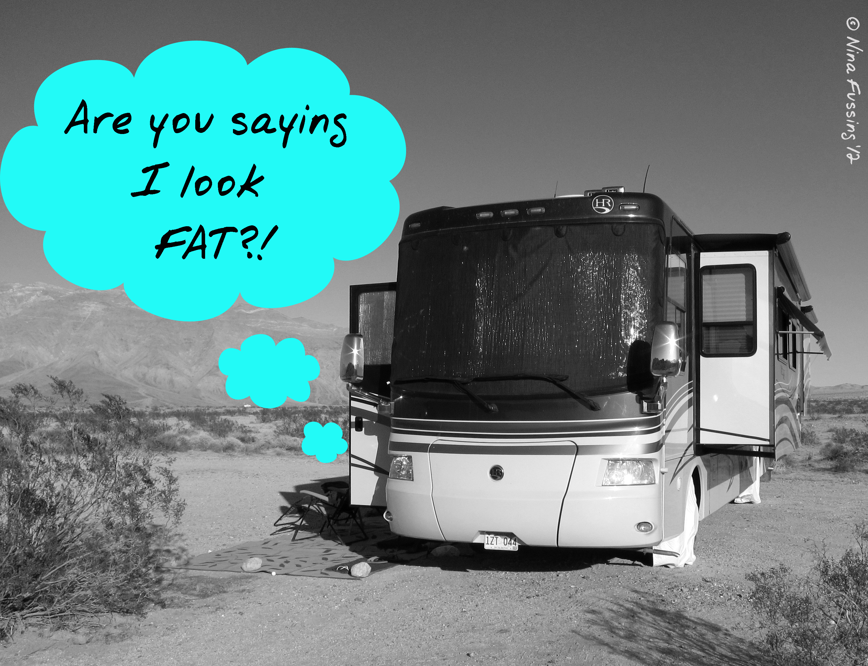 C-20120202 Borrego Boondocking (1) (JPG)