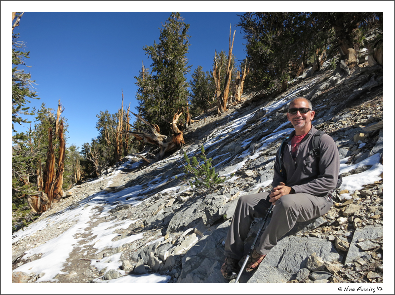 C-20121013 Ancient Bristlecone Forest (79) (JPG)