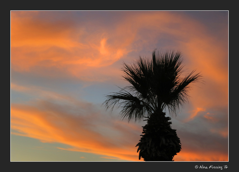 C-20121103 Sunset (28) (JPG)
