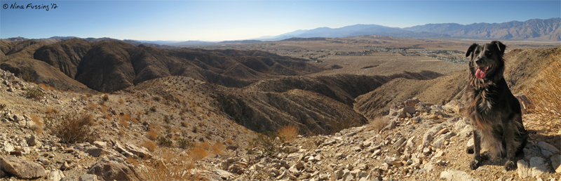 C-20121111 Flag Mountain Panorama (JPG)