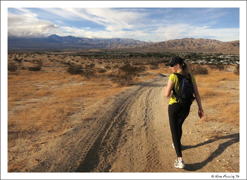 Hiking the hills in search of a geocache