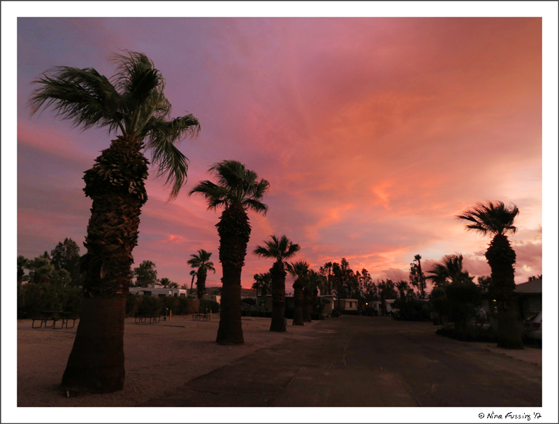 My sisters last sunset