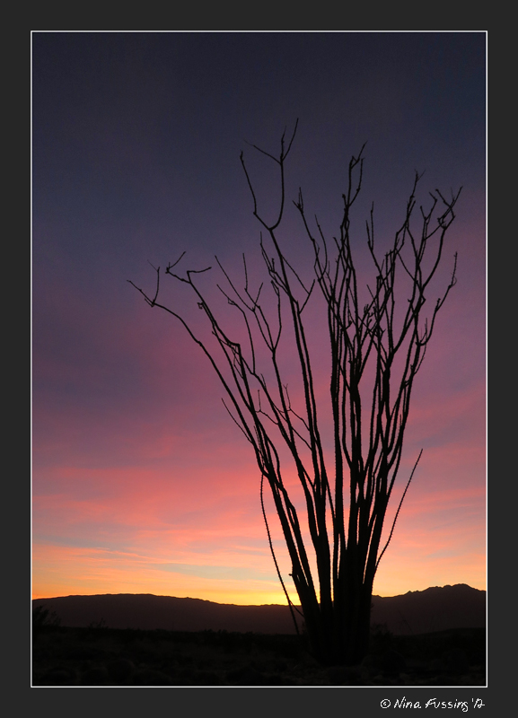 Oh did I mention it was another perfect sunset?