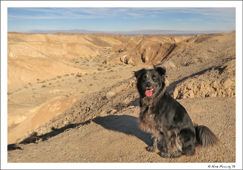 Polly poses at the top of Calcite Mine Trail