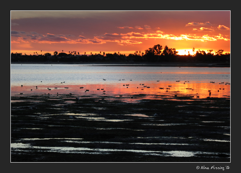 Sunset by the RV Park in Mission Bay