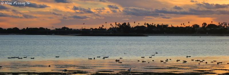 Sunset on Mission Bay
