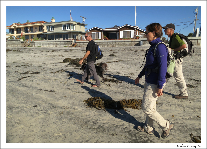 Hiking by the big posh homes on Del Mar beach