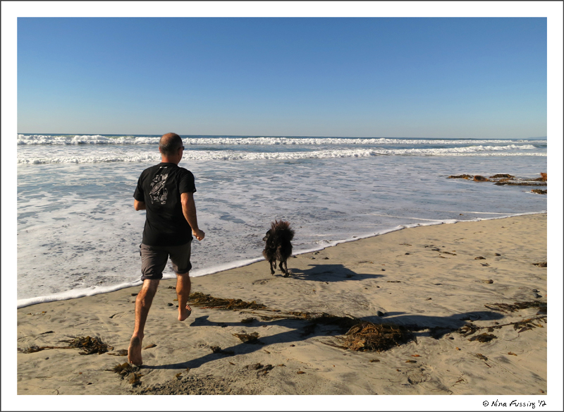 Beach, sun, water & doggie....perfection!
