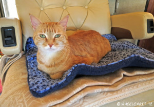 Taggart simply loves her thermal mat