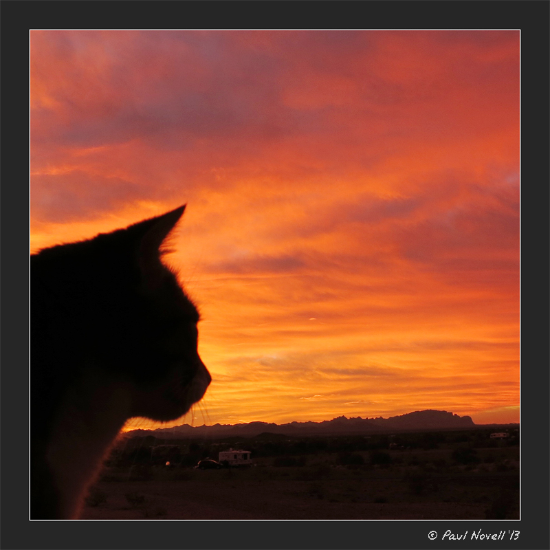 Calm before the big show...sunrise at Quartzsite!