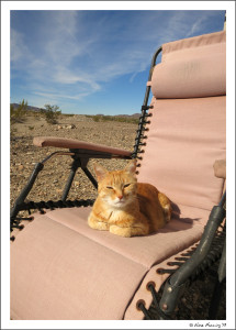 A properly strung recliner w/ paw approval