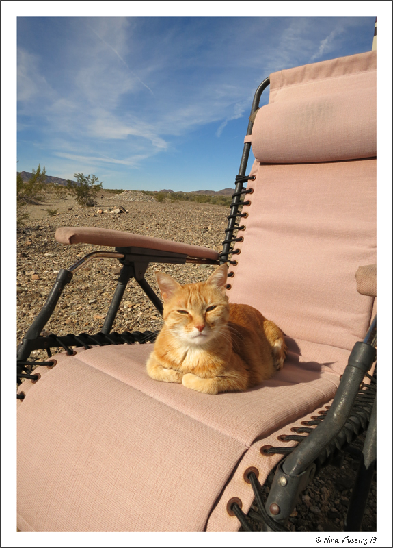 A properly strung recliner w/ paw approval