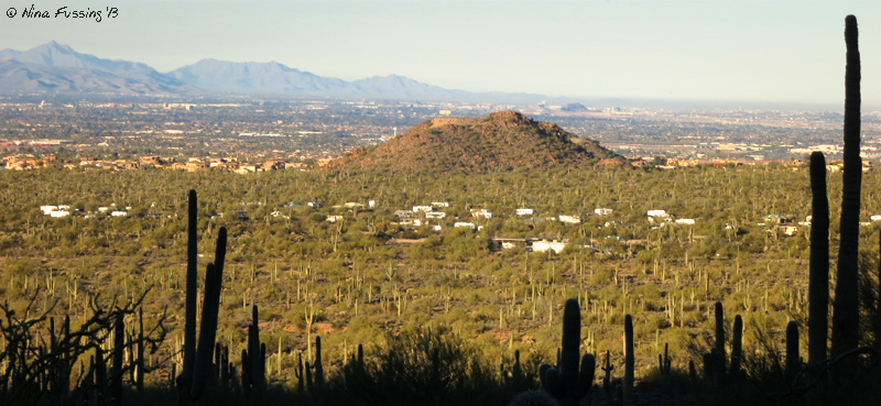 Panoramic of the campground from the Wind Cave Hike in Usery Mountain. Lots o' space here!