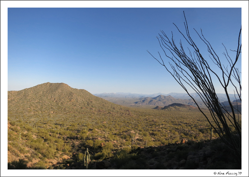 Desert views at Usery