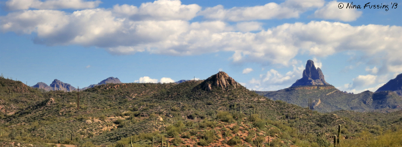 Vista of the Supersitiion Wilderness. That's Needle Mountain on the right.