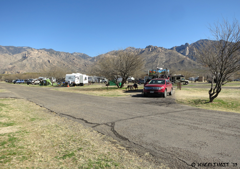 View opposite our site in B-loop. Site B61 on right with site B62 to left.