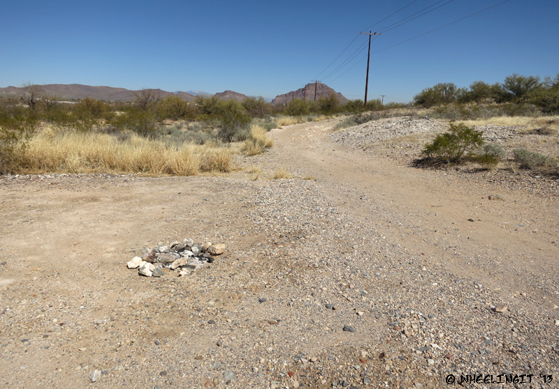 Another open site view. This is towards northern end of BLM area.