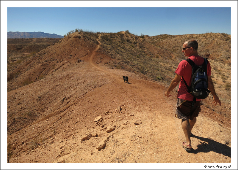 Walking a ridge behind the SKP park in Benson, AZ