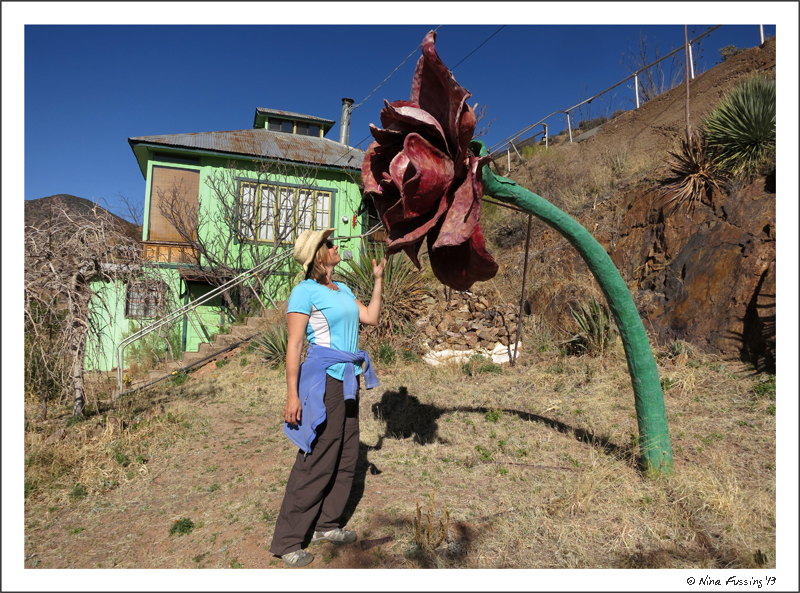 Free street art on the BIsbee 1000...I LOVE this kind of stuff!!