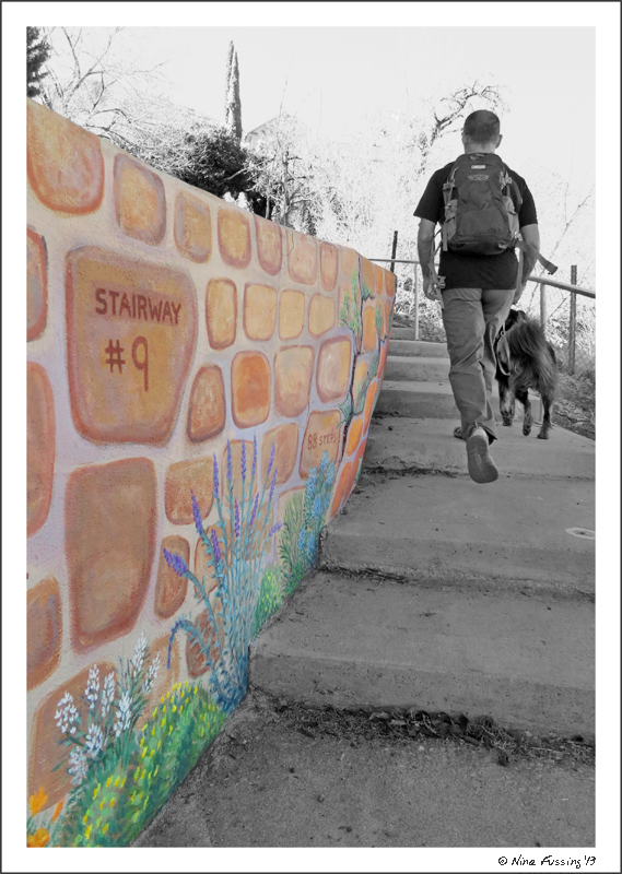 Tackling staircase #9