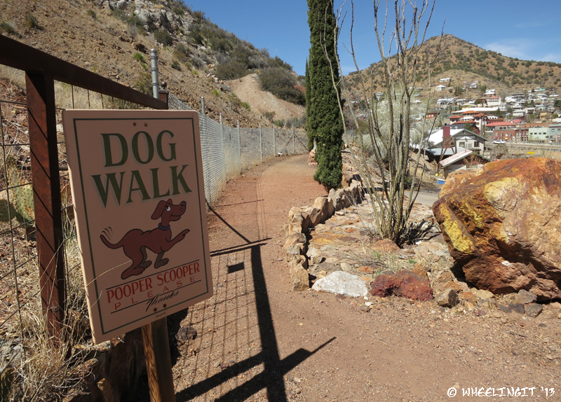 View of dog walk/run