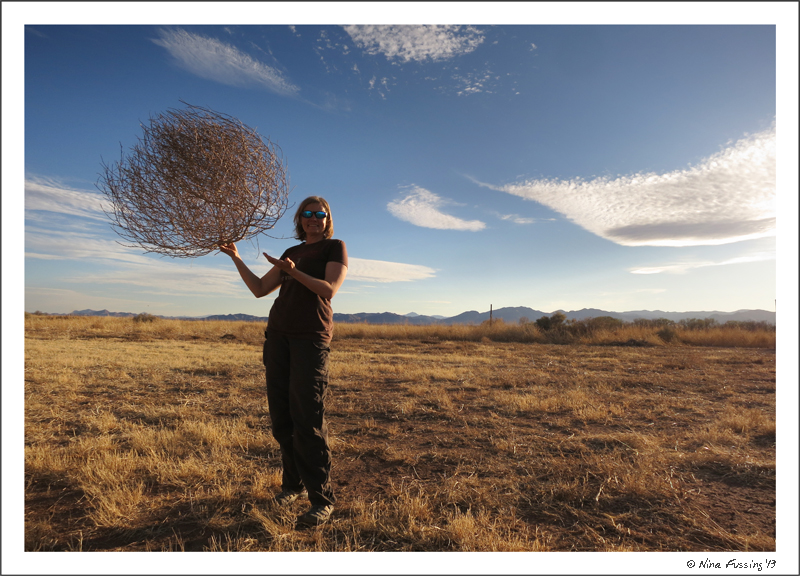 LOTS of tumbleweeds out here....and a very creative shot by Paul.