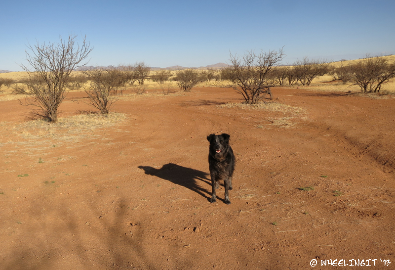 One of the other cleared out camping areas at Road Canyon