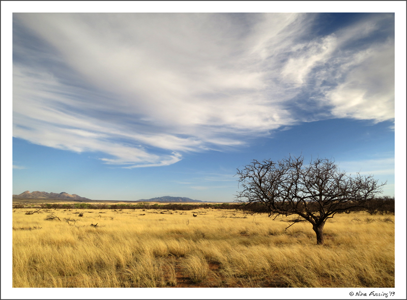 A view beyond words....