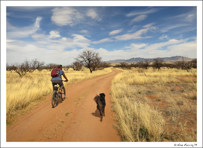 Biking with Polly at Las Cienegas