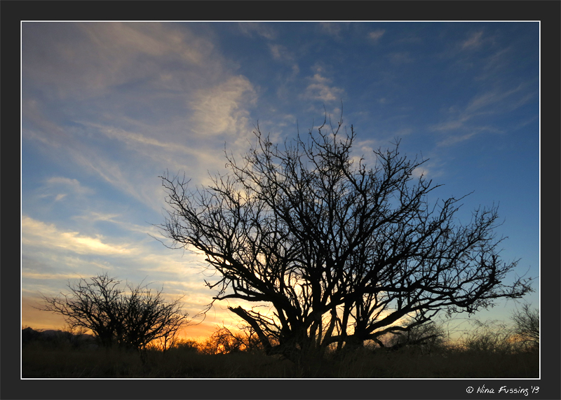 Just another great sunset