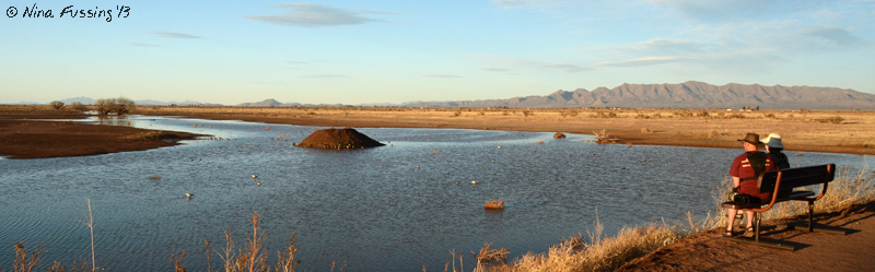 2 lone birders take in the view by the water