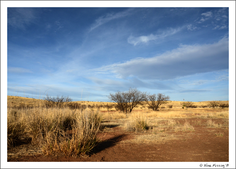 Cool clouds and golden grasslands...what a view!