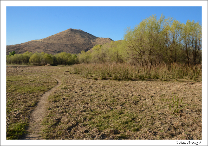 A green respite for weary desert eyes