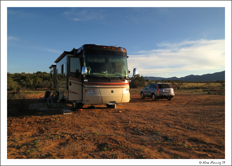 "The beast" soaks in some last rays