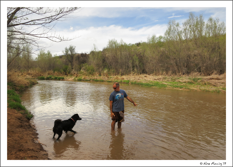 The stick is over there, doggie..