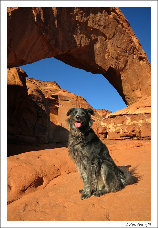 Polly poses by the arch just next to Gouldings campground
