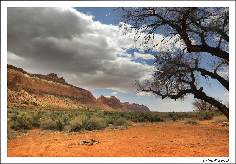 Our front window view...clouds a-coming!