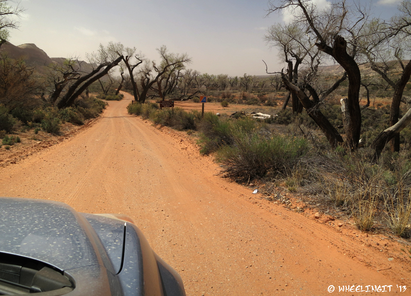 Entry of Comb Wash Road from UT95. Don't worry..that tree on the left isn't as dangerous as it looks.