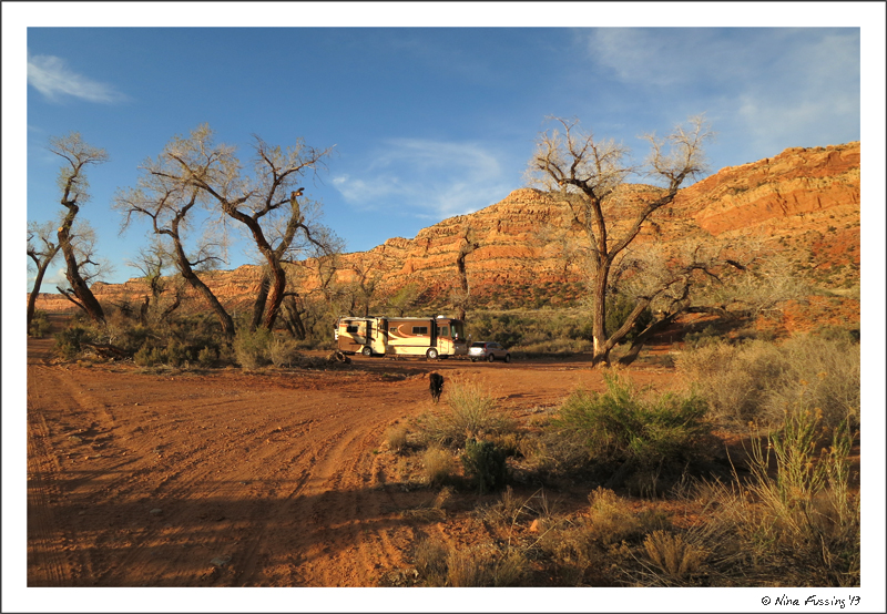 An afternoon clearing at our boondocking site