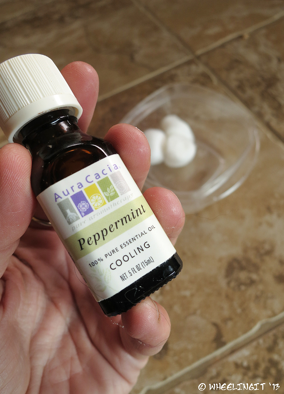 Peppermint...the secret mouse-repellant?