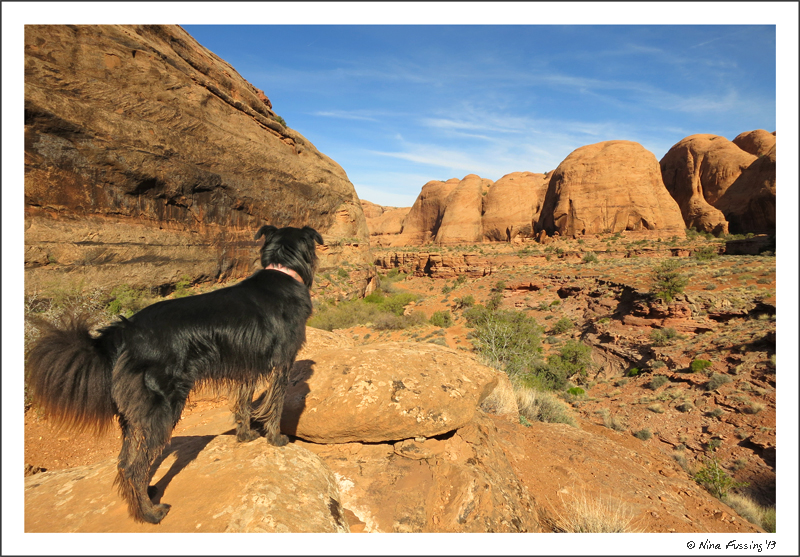 It can be quite gorgeous around here. On the Negro Bill Canyon Hike