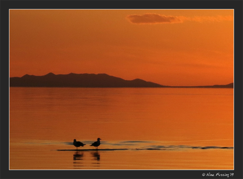 Another magical sunset