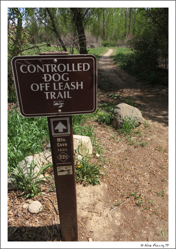 Tons of off-leash friendly trails in the foothills