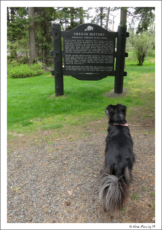 Polly checks out a historic display at Emigrant Springs